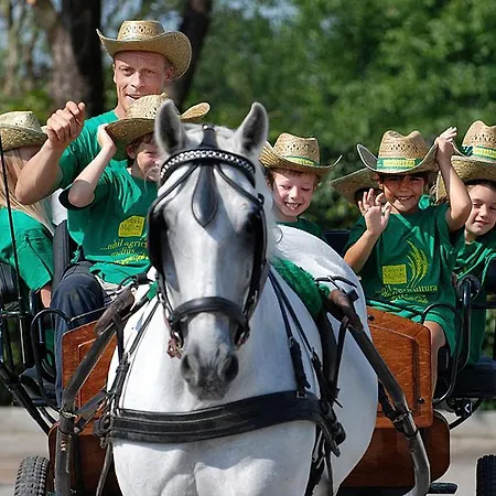 Gelindo Dei Magredi 3*