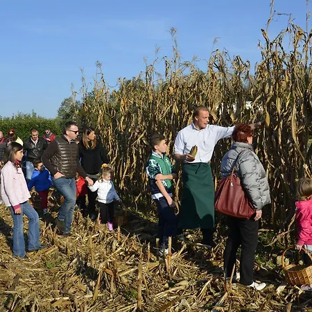 Gelindo Dei Magredi Resort
