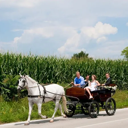 Resort Gelindo Dei Magredi 3*